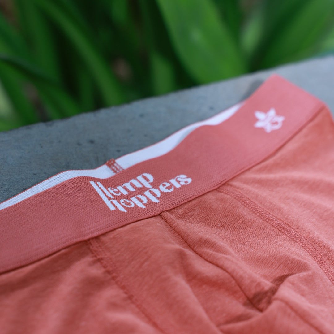 Brief + Trunk (Burnished Tan)
