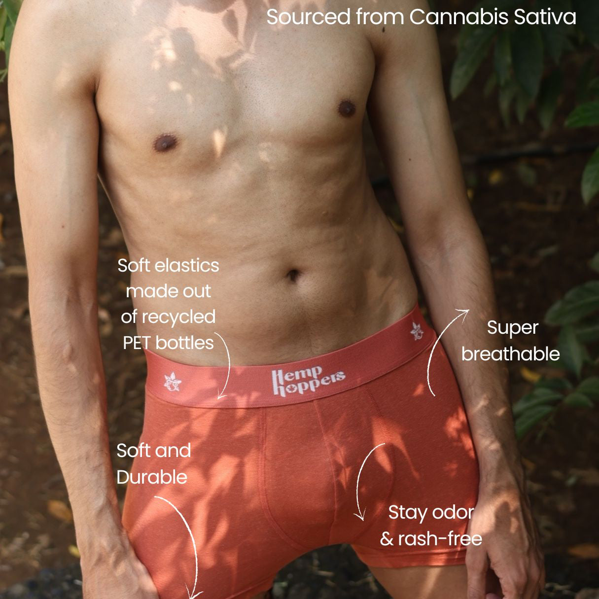 Brief + Trunk (Burnished Tan)