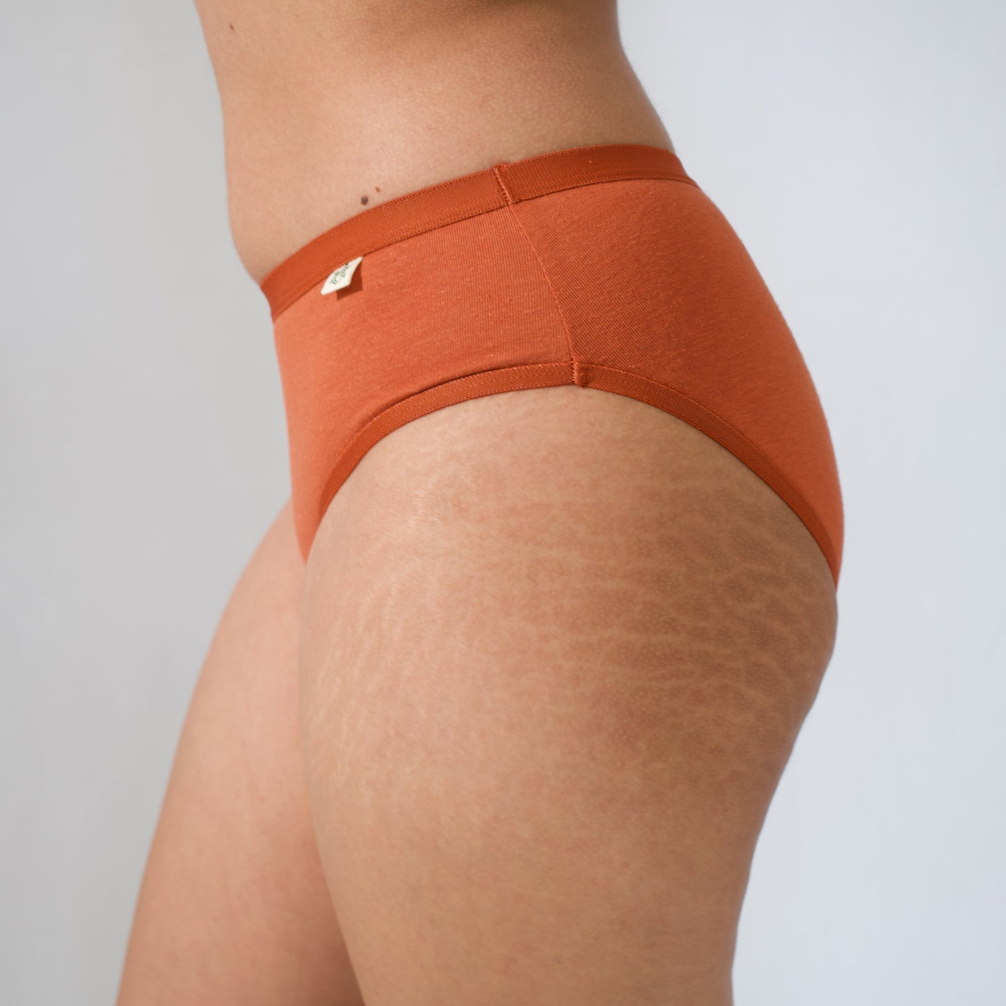 Pack of 2 Hipsters (Burnished Tan + Nola Nude) - For Her