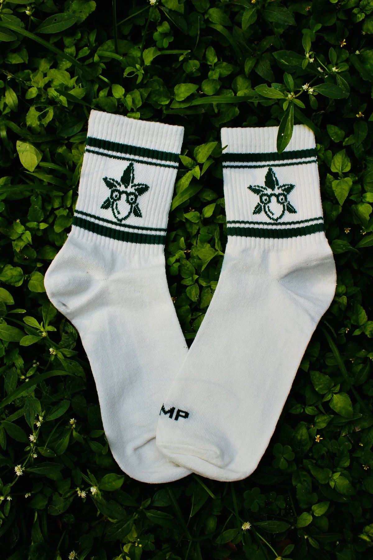 Cloud White Quarter Socks