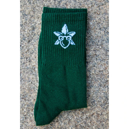 Pack of 2 Socks (Herbed Crew Green + Cloud White Quarter)